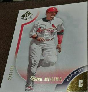 Yadier Molina