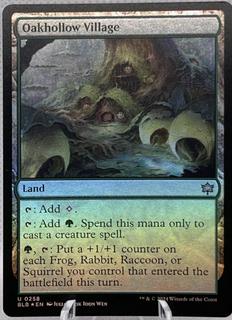 Oakhollow Village