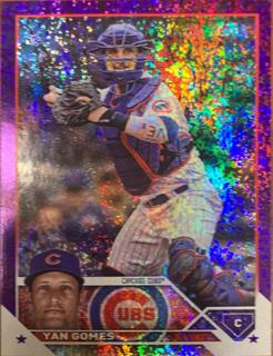 Yan Gomes