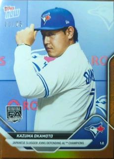 Kazuma Okamoto