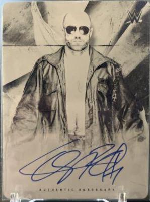 Cesaro #A-CE Wrestling Cards 2019 Topps WWE Undisputed Autographs