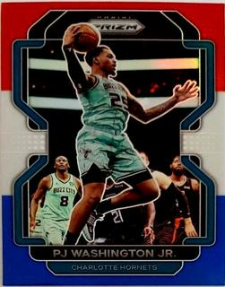 PJ Washington Jr.