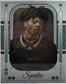 Tyran Stokes