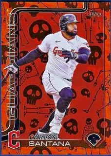 Carlos Santana