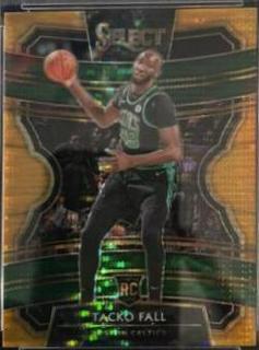Tacko Fall