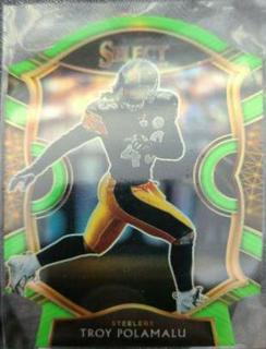 Troy Polamalu