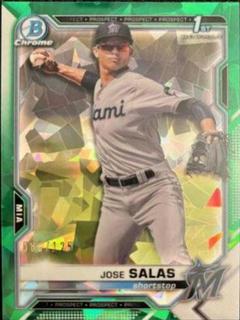 Jose Salas