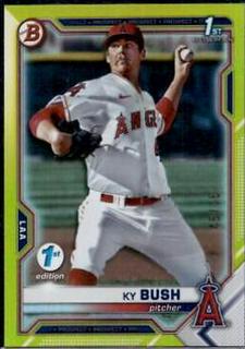 Ky Bush