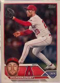 Brandon Drury