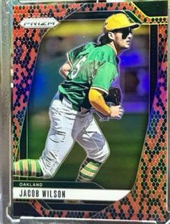 Jacob Wilson