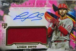 LivAn Soto