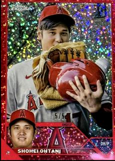 Shohei Ohtani