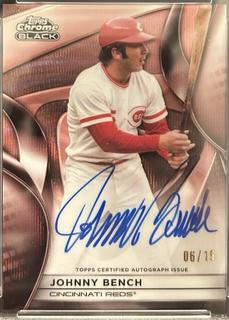 Johnny Bench