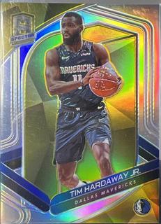 Tim Hardaway Jr.
