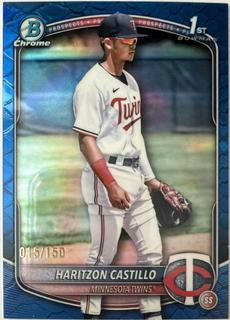 Haritzon Castillo