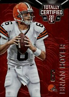 Brian Hoyer