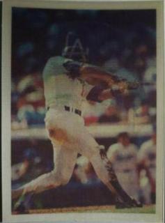 Mike Scioscia