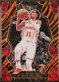 Trae Young