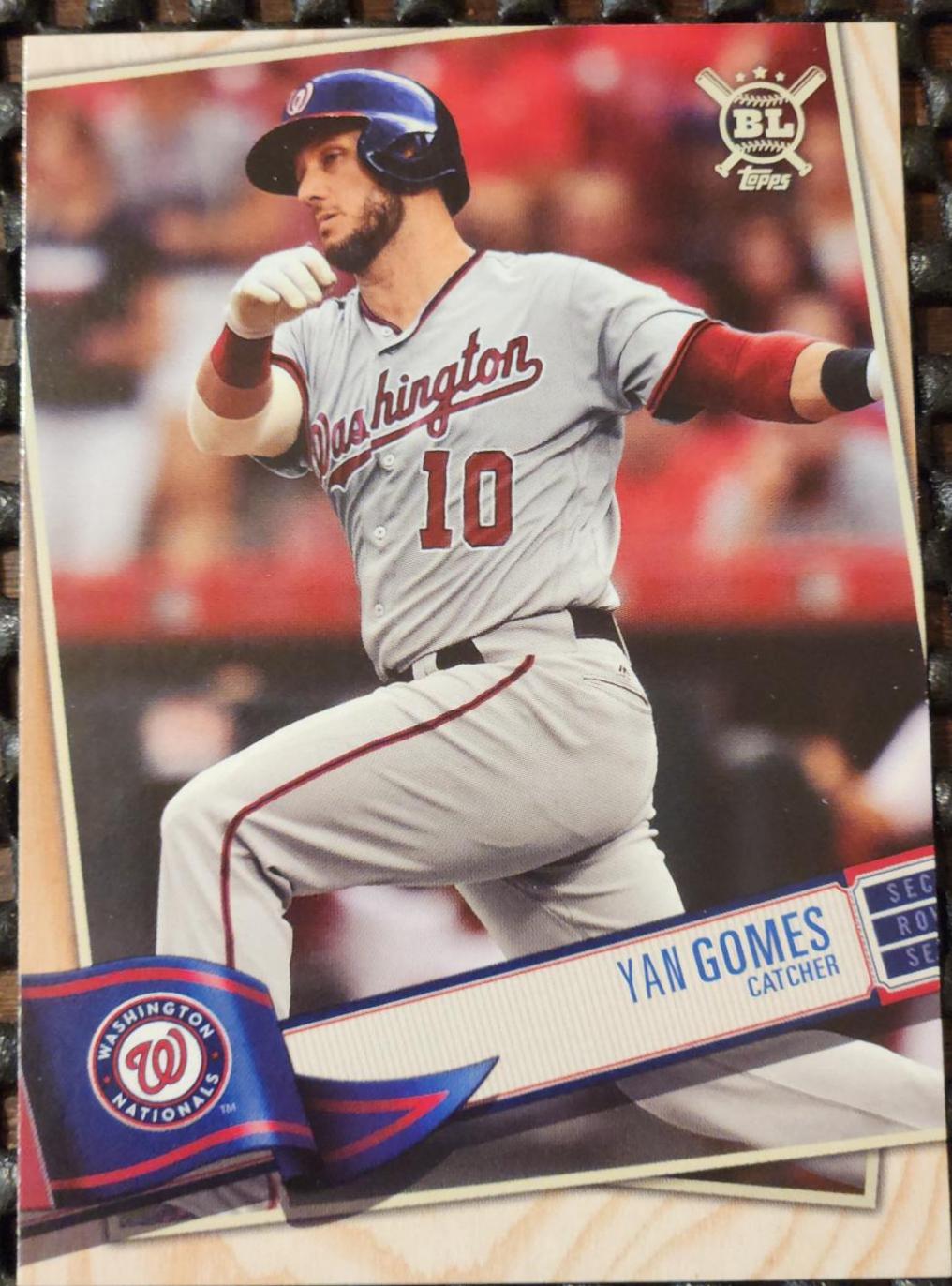 Yan Gomes #288