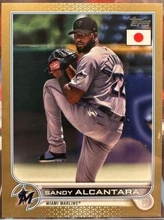 Sandy Alcantara