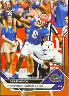 Dallas Wilson