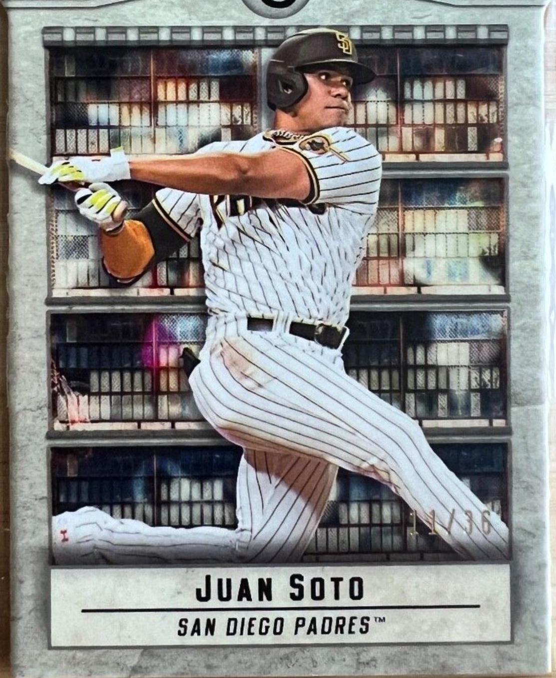 Juan Soto [Bush Terminal Die-Cut] #49