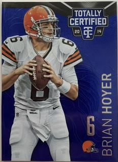 Brian Hoyer
