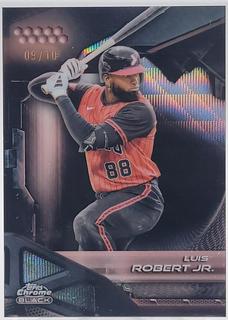 Luis Robert Jr.