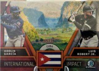 Luis Robert Jr. / Adolis Garcia