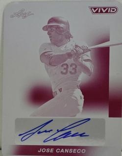 Jose Canseco