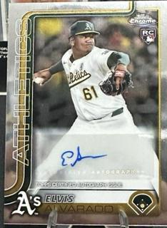 Elvis Alvarado