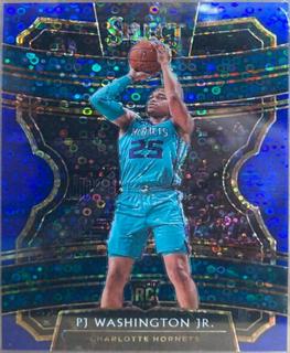 PJ Washington Jr.