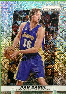 Pau Gasol