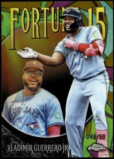 Vladimir Guerrero Jr.
