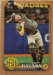 Brett Sullivan