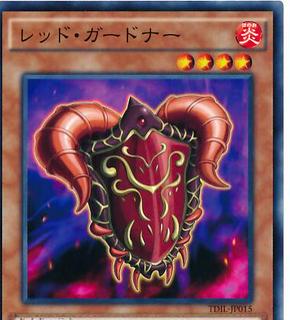 Red Gardna TDIL-JP015