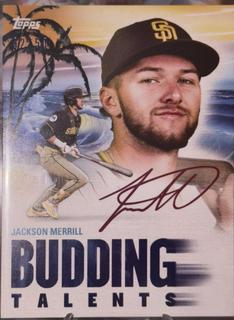 Jackson Merrill