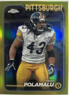 Troy Polamalu