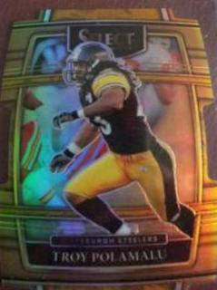 Troy Polamalu