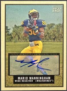 Mario Manningham