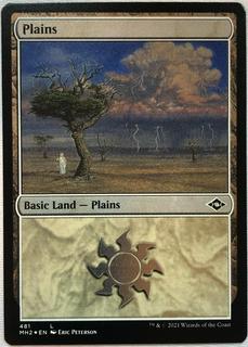 Plains