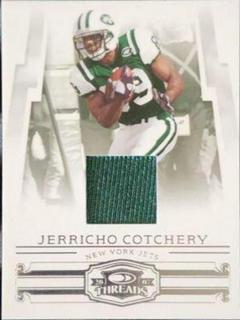 Jerricho Cotchery