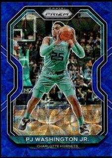 PJ Washington Jr.
