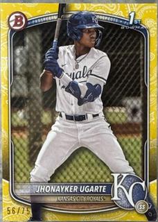 Jhonayker Ugarte