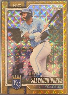 Salvador Perez