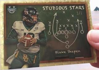 Blake Shapen
