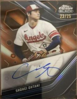 Shohei Ohtani