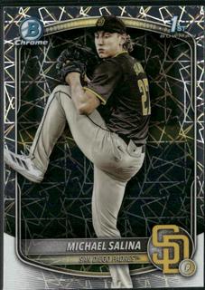 Michael Salina