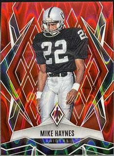 Mike Haynes