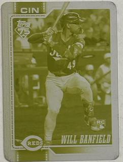 Will Banfield